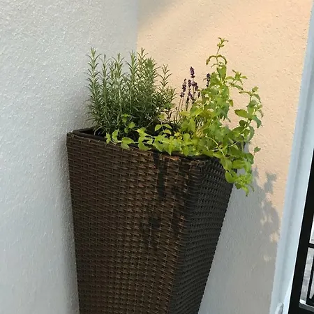 Design & Wine Special アパート *