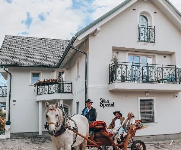 Apartma Design & Wine Special *