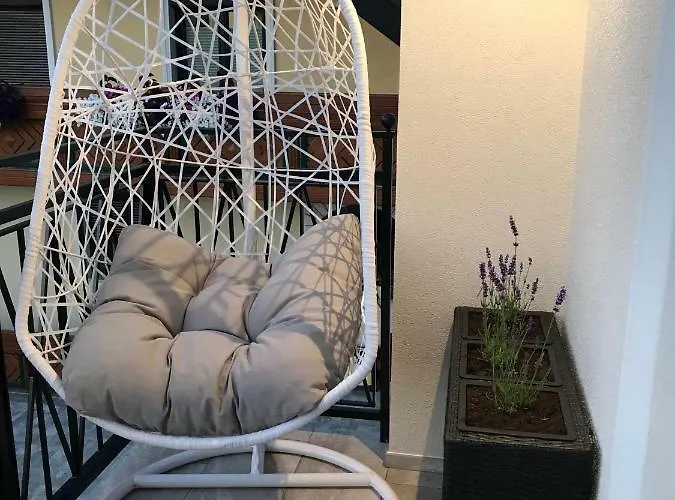 Apartma Design & Wine Special *