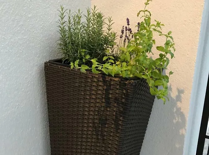 Design & Wine Special Lägenhet *